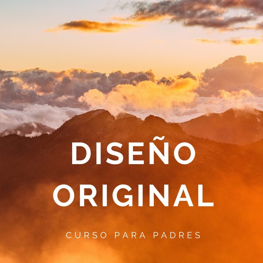 diseno original