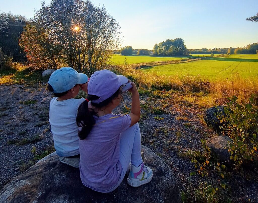 img 20240920 173906176 hdr 3 1