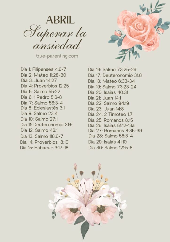 plan de transcripcion abril