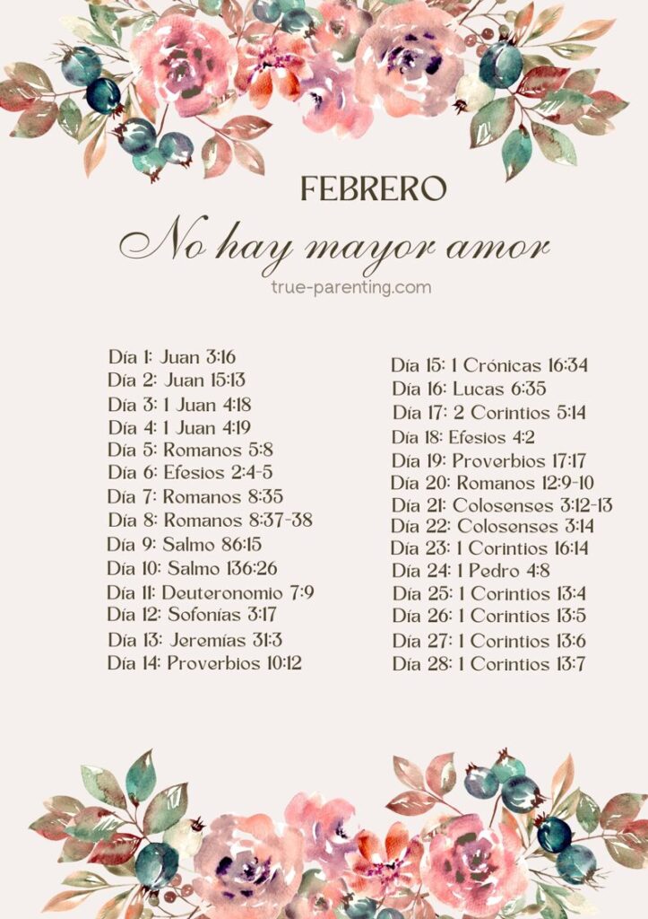 plan de transcripcion febrero