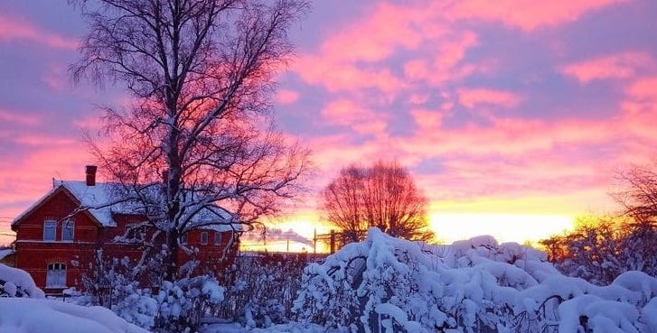 whatsapp image 2025 01 30 at 12 44 06 pm 1